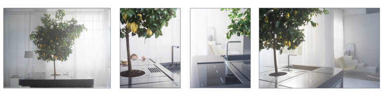 Aran Cucine presenta OASI: Matrix4Design intervista Stefano Boeri