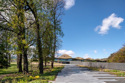 rogers-stirk-harbour-partners-RSHP-macallan-distillery-scotland-designboom-13.jpg