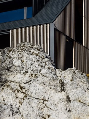 z-house-geza-alpine-mountain-camporosso-italy-_dezeen_2364_col_6.jpg