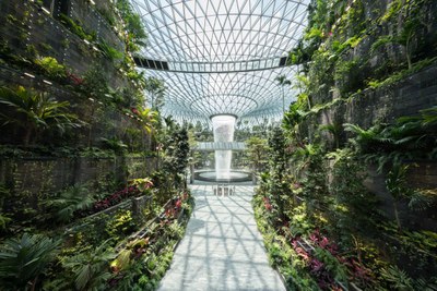 Jewel_will_house_the_world's_largest_indoor_waterfall_and_the_largest_indoor_collection_of_plants_in_Singapore.jpg