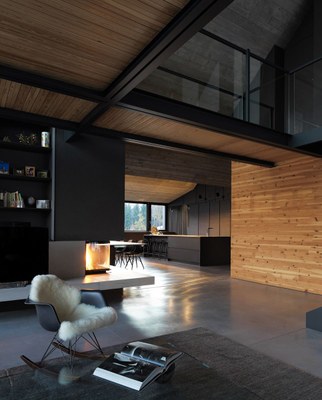 z-house-geza-alpine-mountain-camporosso-italy-_dezeen_2364_col_14.jpg