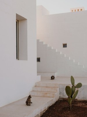 villa-cardo-studio-andrew-trotter-puglia-italy-residential-italian-white-houses_dezeen_2364_col_7.jpg