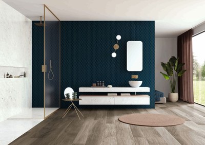 Hexa_deep_Navy_Bathroom_03.jpg