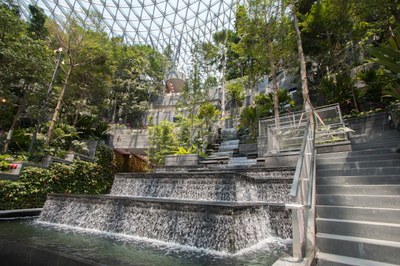 Shiseido_Forest_Valley_-_a_four-storey_garden_filled_with_thousands_of_plants_and_trees.jpg