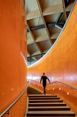 rogers-stirk-harbour-partners-RSHP-macallan-distillery-scotland-designboom-08.jpg