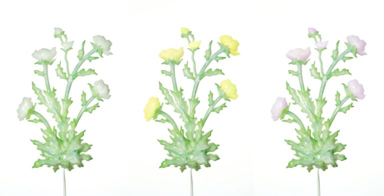 Wild Flowers, il bouquet di luce di Alessandra Baldereschi