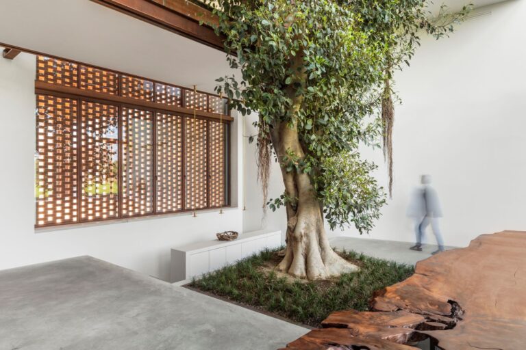 The Greenary, la casa intorno all’albero di Carlo Ratti per Mutti