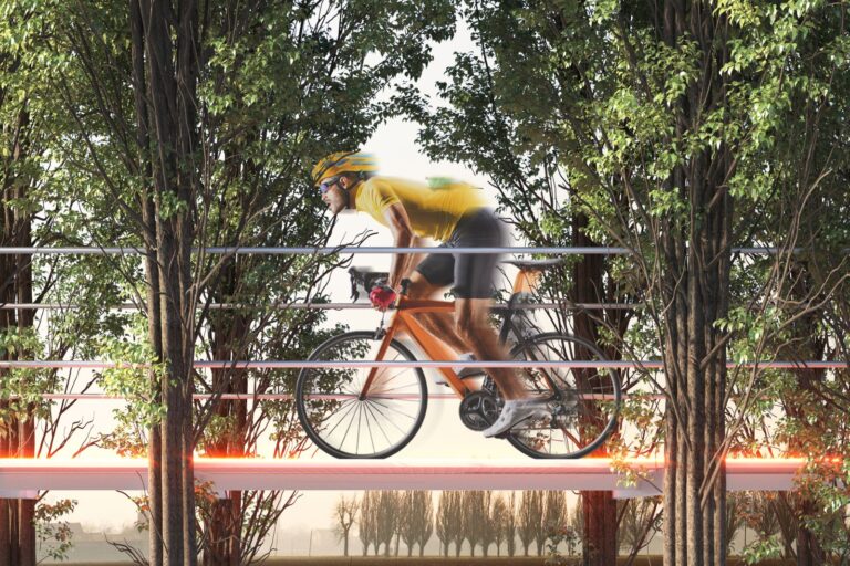 The Tree Path, Carlo Ratti progetta il sentiero sorretto dagli alberi